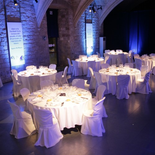 ACER - CENA DE NAVIDAD